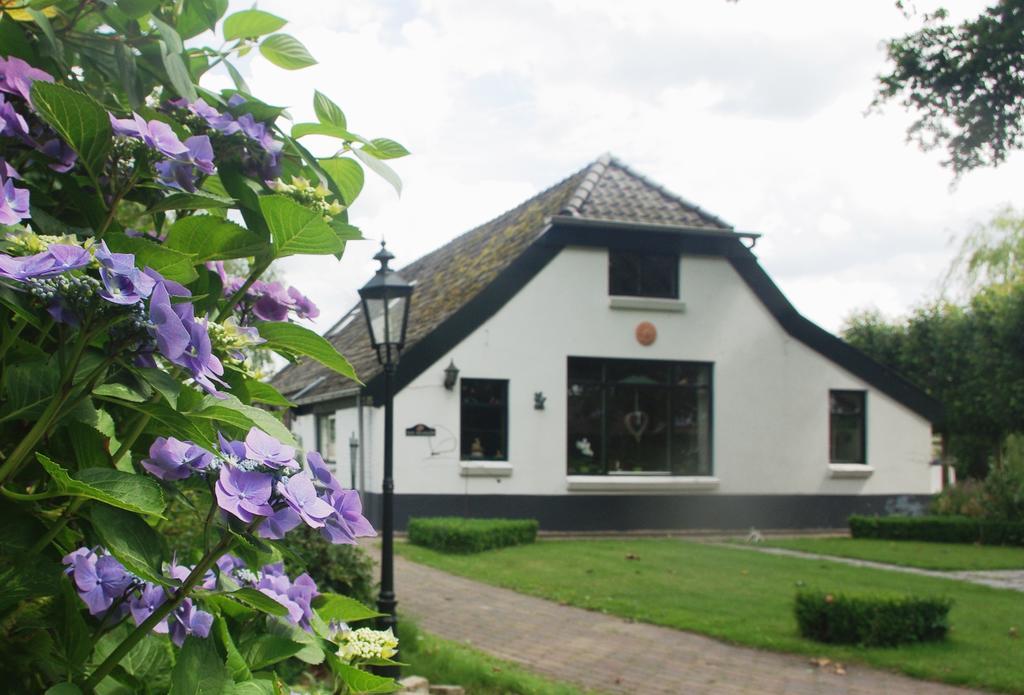 Bed&Breakfast 'T Eikeltje Hollandscheveld 外观 照片